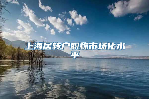 上海居转户职称市场化水平