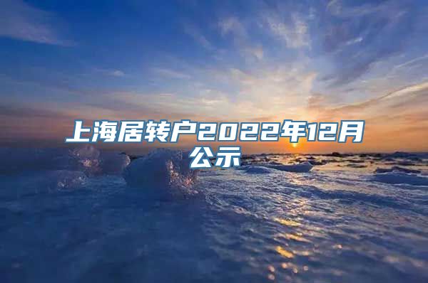 上海居转户2022年12月公示