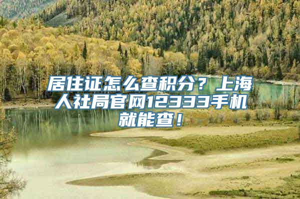 居住证怎么查积分？上海人社局官网12333手机就能查！