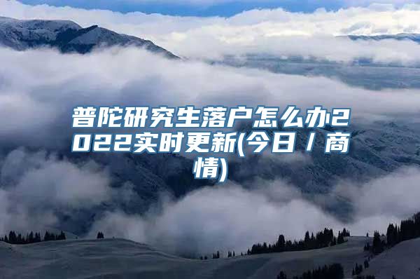 普陀研究生落户怎么办2022实时更新(今日／商情)