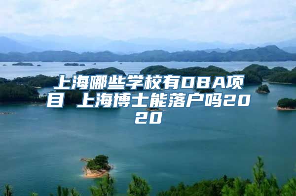 上海哪些学校有DBA项目 上海博士能落户吗2020