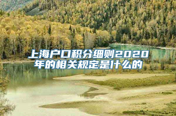 上海户口积分细则2020年的相关规定是什么的