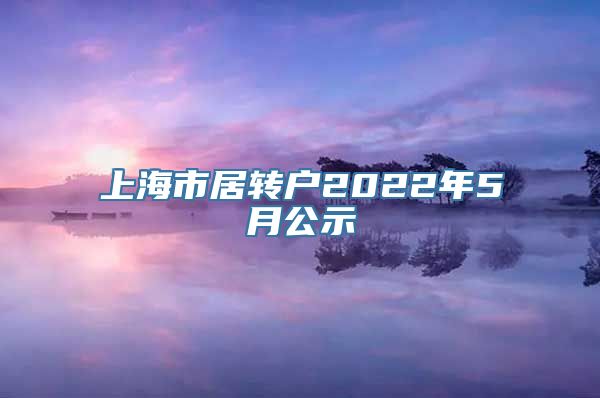 上海市居转户2022年5月公示