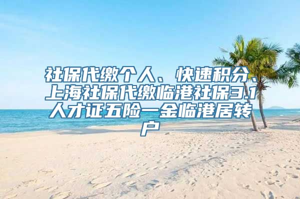 社保代缴个人、快速积分、上海社保代缴临港社保3.1人才证五险一金临港居转户