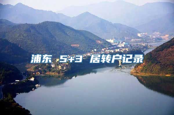 浦东 5+3 居转户记录