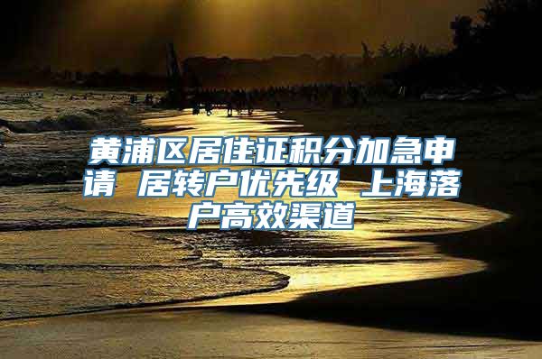 黄浦区居住证积分加急申请 居转户优先级 上海落户高效渠道