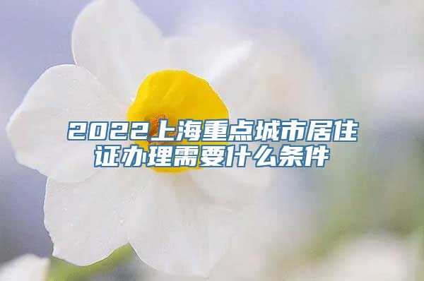 2022上海重点城市居住证办理需要什么条件