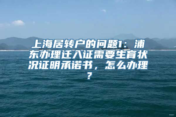 上海居转户的问题1：浦东办理迁入证需要生育状况证明承诺书，怎么办理？