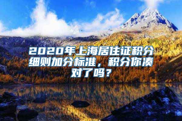 2020年上海居住证积分细则加分标准，积分你凑对了吗？