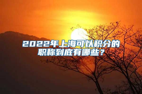 2022年上海可以积分的职称到底有哪些？