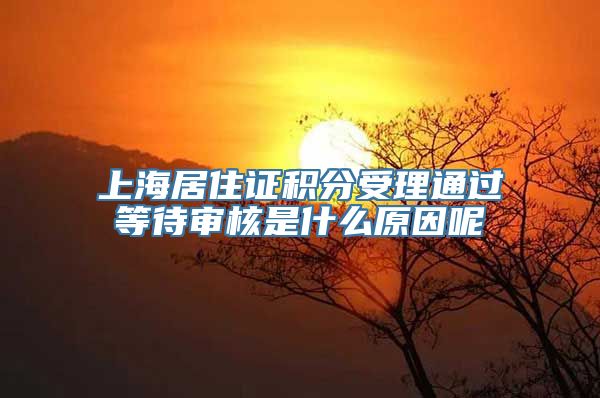 上海居住证积分受理通过等待审核是什么原因呢