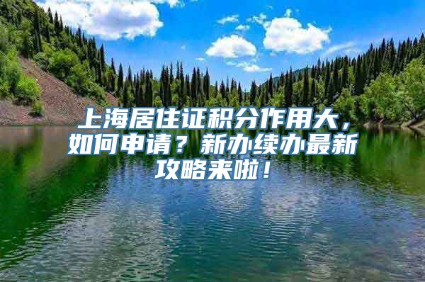 上海居住证积分作用大，如何申请？新办续办最新攻略来啦！