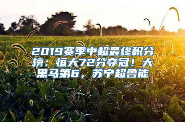 2019赛季中超最终积分榜：恒大72分夺冠！大黑马第6，苏宁超鲁能