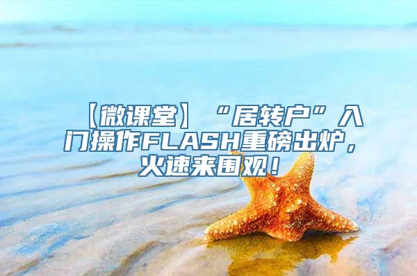 【微课堂】“居转户”入门操作FLASH重磅出炉，火速来围观！