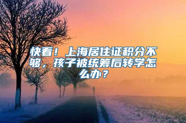 快看！上海居住证积分不够，孩子被统筹后转学怎么办？