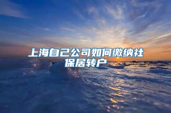 上海自己公司如何缴纳社保居转户