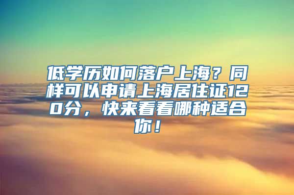 低学历如何落户上海？同样可以申请上海居住证120分，快来看看哪种适合你！