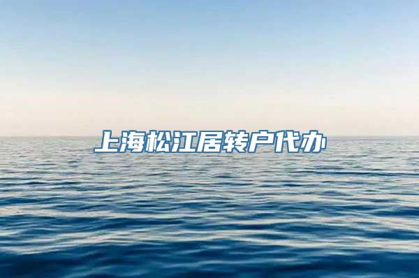 上海松江居转户代办