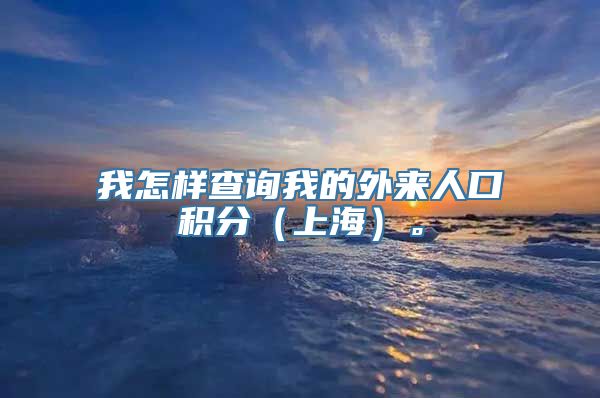 我怎样查询我的外来人口积分（上海）。