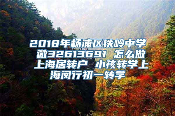 2018年杨浦区铁岭中学 微32613691 怎么做 上海居转户 小孩转学上海闵行初一转学