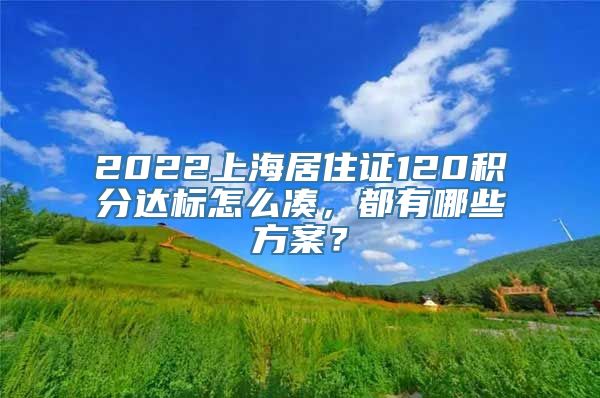 2022上海居住证120积分达标怎么凑，都有哪些方案？