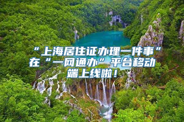 “上海居住证办理一件事”在“一网通办”平台移动端上线啦！