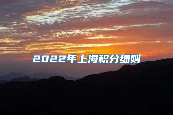 2022年上海积分细则