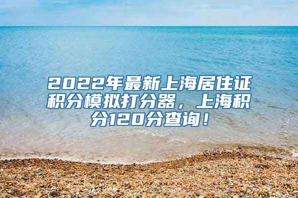 2022年最新上海居住证积分模拟打分器，上海积分120分查询！