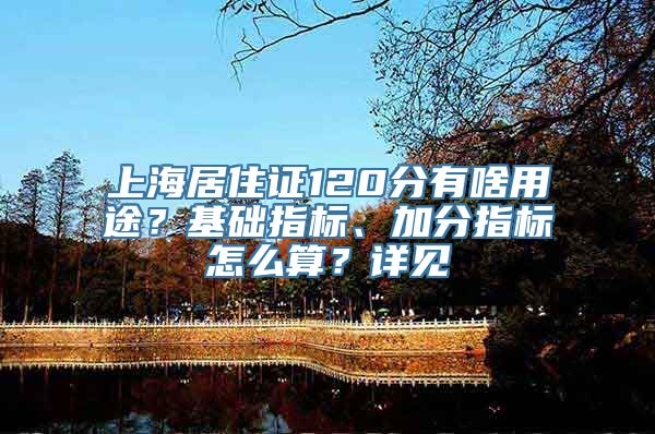 上海居住证120分有啥用途？基础指标、加分指标怎么算？详见→