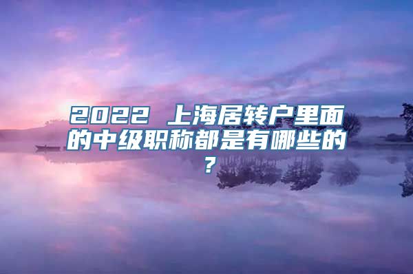 2022 上海居转户里面的中级职称都是有哪些的？