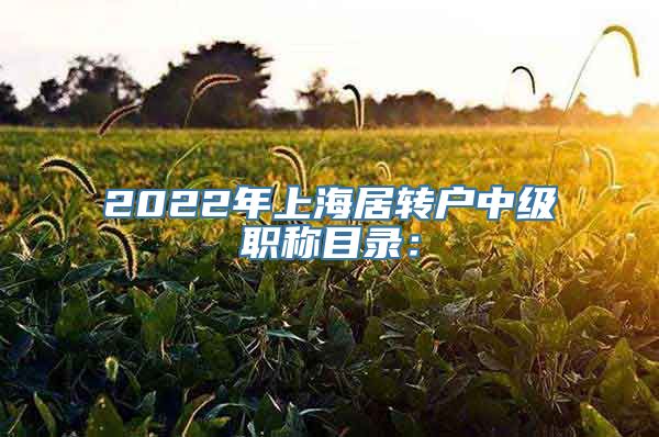 2022年上海居转户中级职称目录：