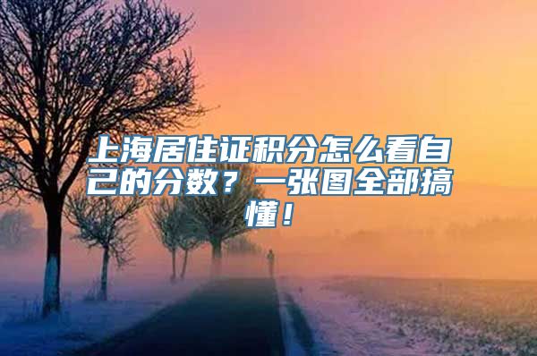 上海居住证积分怎么看自己的分数？一张图全部搞懂！