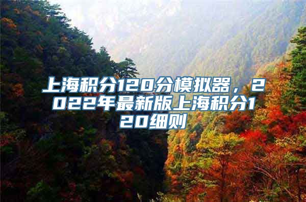 上海积分120分模拟器，2022年最新版上海积分120细则