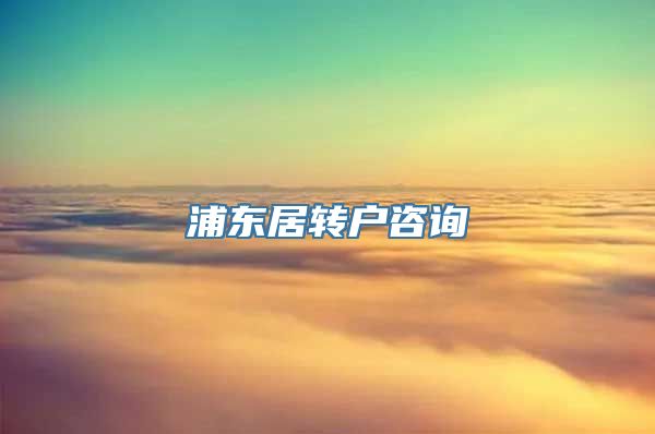 浦东居转户咨询