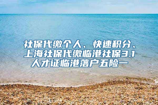 社保代缴个人、快速积分、上海社保代缴临港社保3.1人才证临港落户五险一