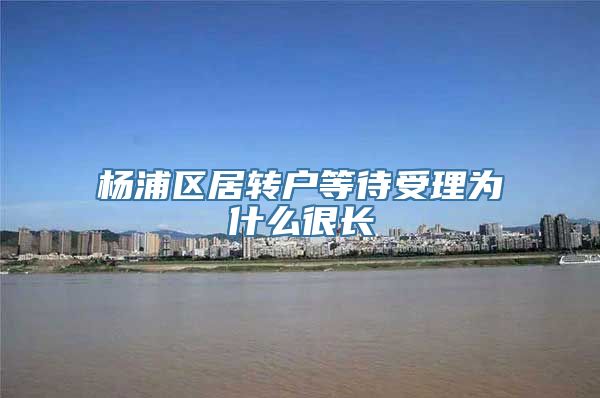 杨浦区居转户等待受理为什么很长