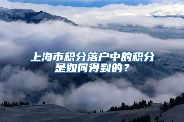 上海市积分落户中的积分是如何得到的？