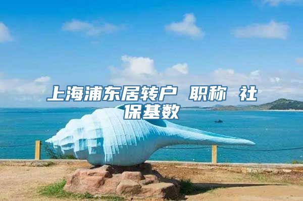 上海浦东居转户 职称 社保基数