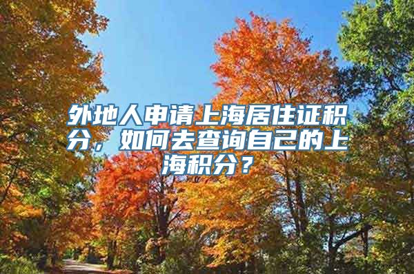 外地人申请上海居住证积分，如何去查询自己的上海积分？