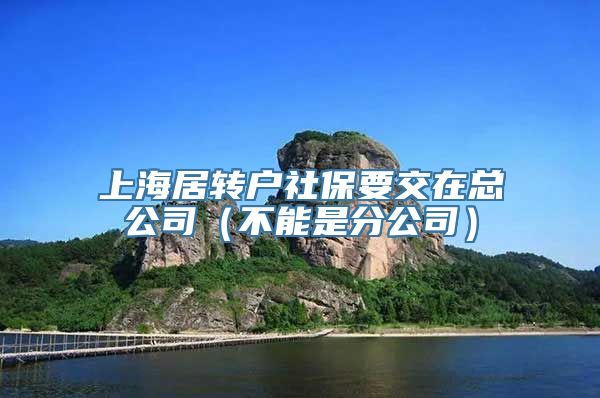 上海居转户社保要交在总公司（不能是分公司）