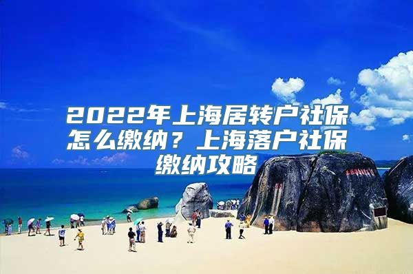 2022年上海居转户社保怎么缴纳？上海落户社保缴纳攻略