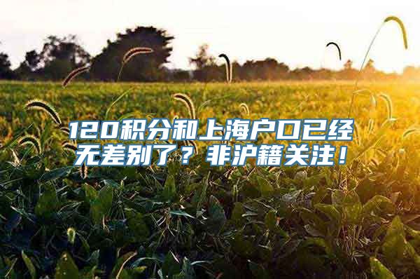 120积分和上海户口已经无差别了？非沪籍关注！