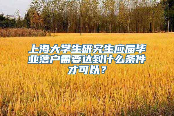 上海大学生研究生应届毕业落户需要达到什么条件才可以？