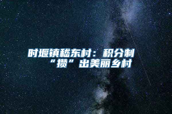 时堰镇嵇东村：积分制“攒”出美丽乡村