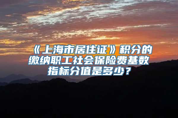 《上海市居住证》积分的缴纳职工社会保险费基数指标分值是多少？