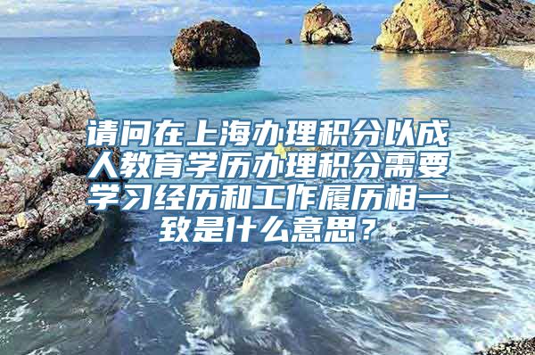 请问在上海办理积分以成人教育学历办理积分需要学习经历和工作履历相一致是什么意思？