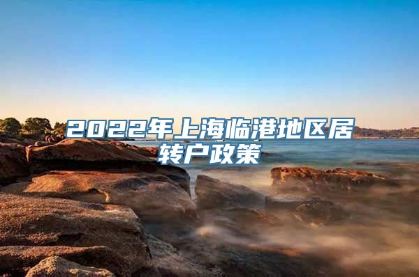 2022年上海临港地区居转户政策