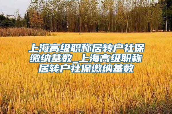 上海高级职称居转户社保缴纳基数_上海高级职称居转户社保缴纳基数