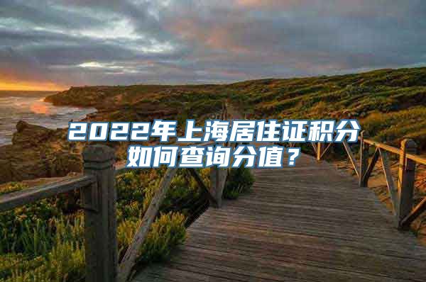 2022年上海居住证积分如何查询分值？