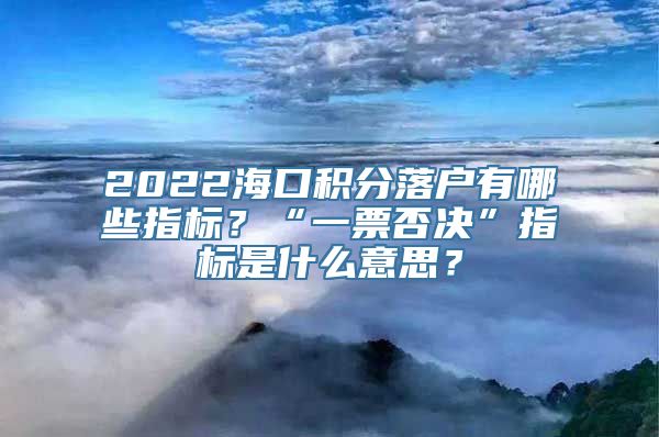 2022海口积分落户有哪些指标？“一票否决”指标是什么意思？